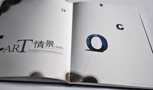 澳城樓書(shū) 深圳專業(yè)廣告設(shè)計(jì)與品牌形象塑造的領(lǐng)軍者